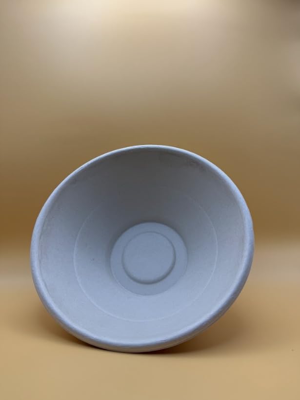 40oz Disposable Sugarcane Bowl with Dome Lids, Big Paper Bowls, Large, Heavy-Duty, Eco-Friendly, Compostable Bowls, Biodegradable Made of Sugar Cane Fibers (300)