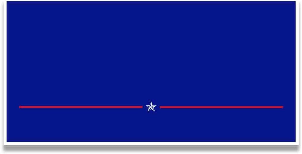 Custom Political Yard Sign #2-2 sided print, 2 stakes per sign- Corrugated Plastic (250, 12x24)