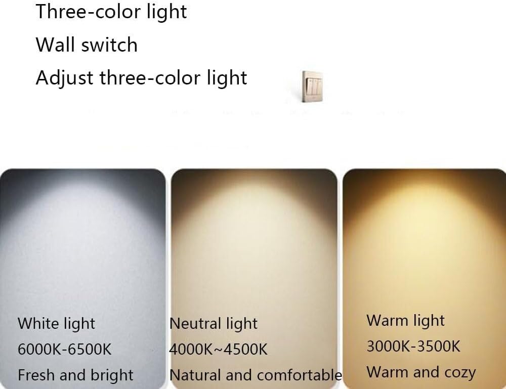 Simple Round LED Ceiling Lamp 3000K-6000K Dimming Thin Flat Ceiling Light Modern Flush Mount Ceiling Light Fixture for Living Room Bedroom Dining Room Kitchen Study Room Corridor(40cm)