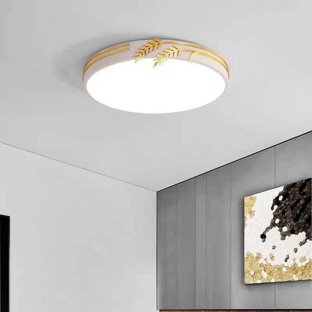 Modern Thin Flat Ceiling Lamp Flush Mount Lighting Ceiling Light LED Macaron Home Office Ceiling Light Fixture for Living Room Bedroom Dining Room Kitchen Study Room Corridor(White,50cm)