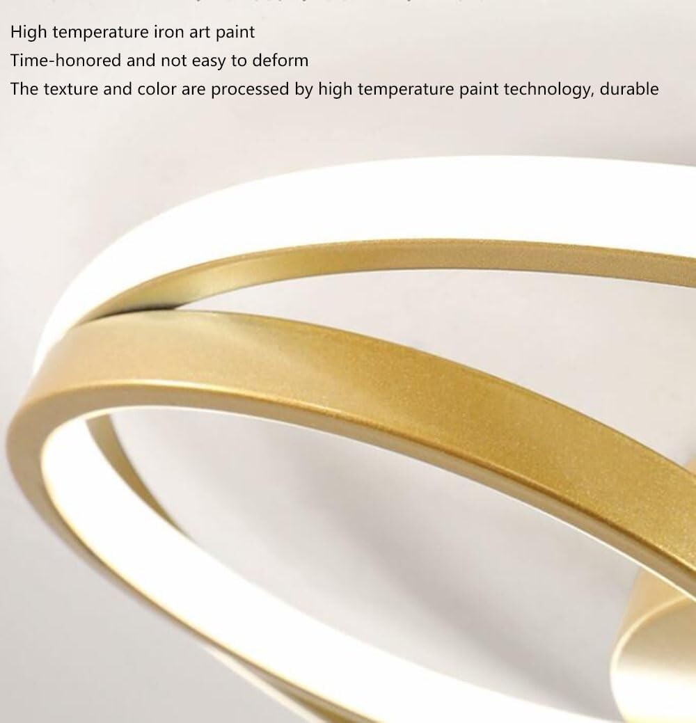 Fashionable Flat Ceiling Light Modern Flush Mount Lighting Ceiling Lamp 3 Color Temperatures Ceiling Light Fixture for Living Room Bedroom Dining Room Kitchen Study Room Corridor(Dark,60cm)