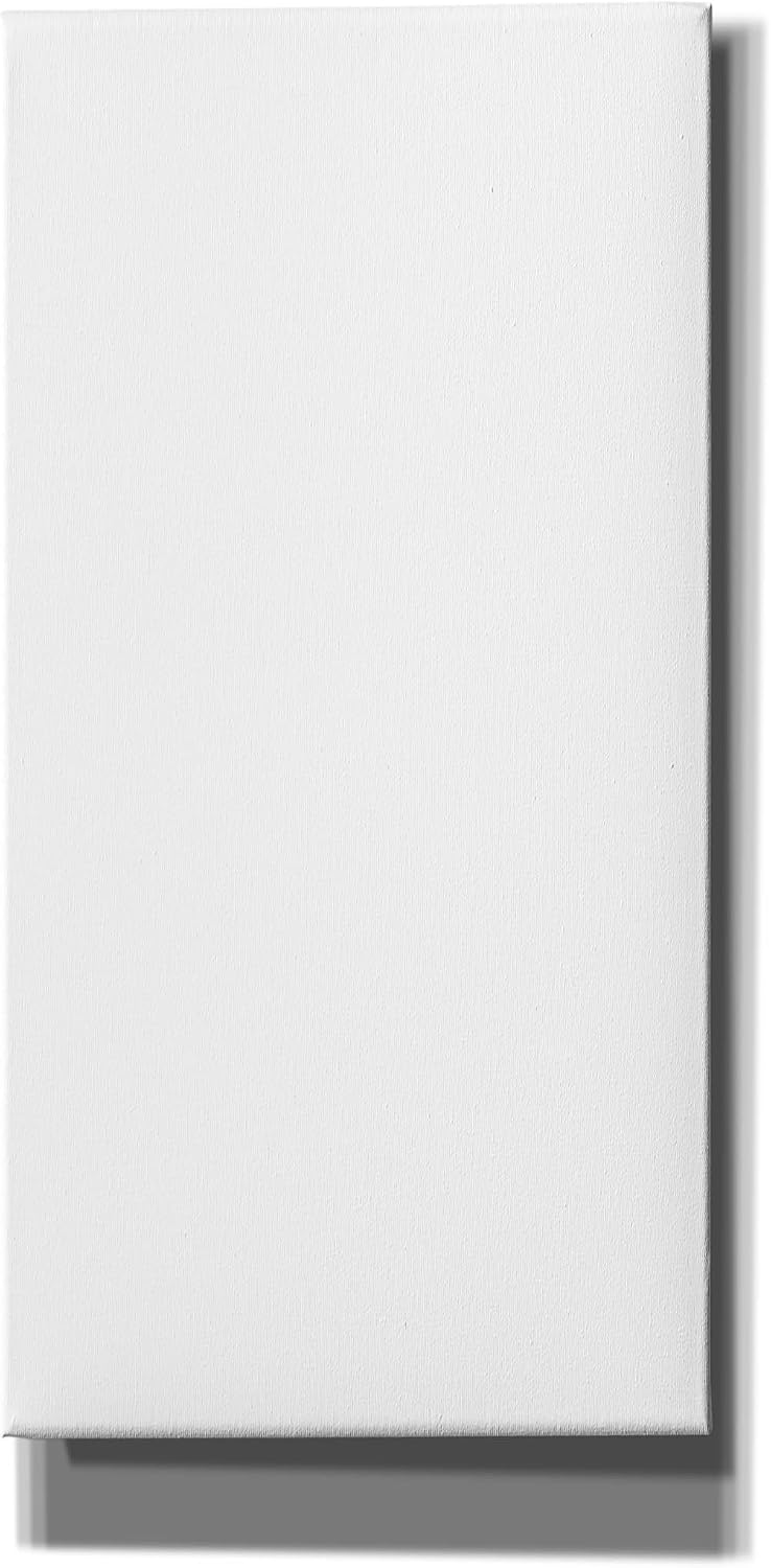Epic Art Group Artist Poly/Cotton Stretched Gloss White Canvas, 30'x60'x1.5' Great for Acrylic