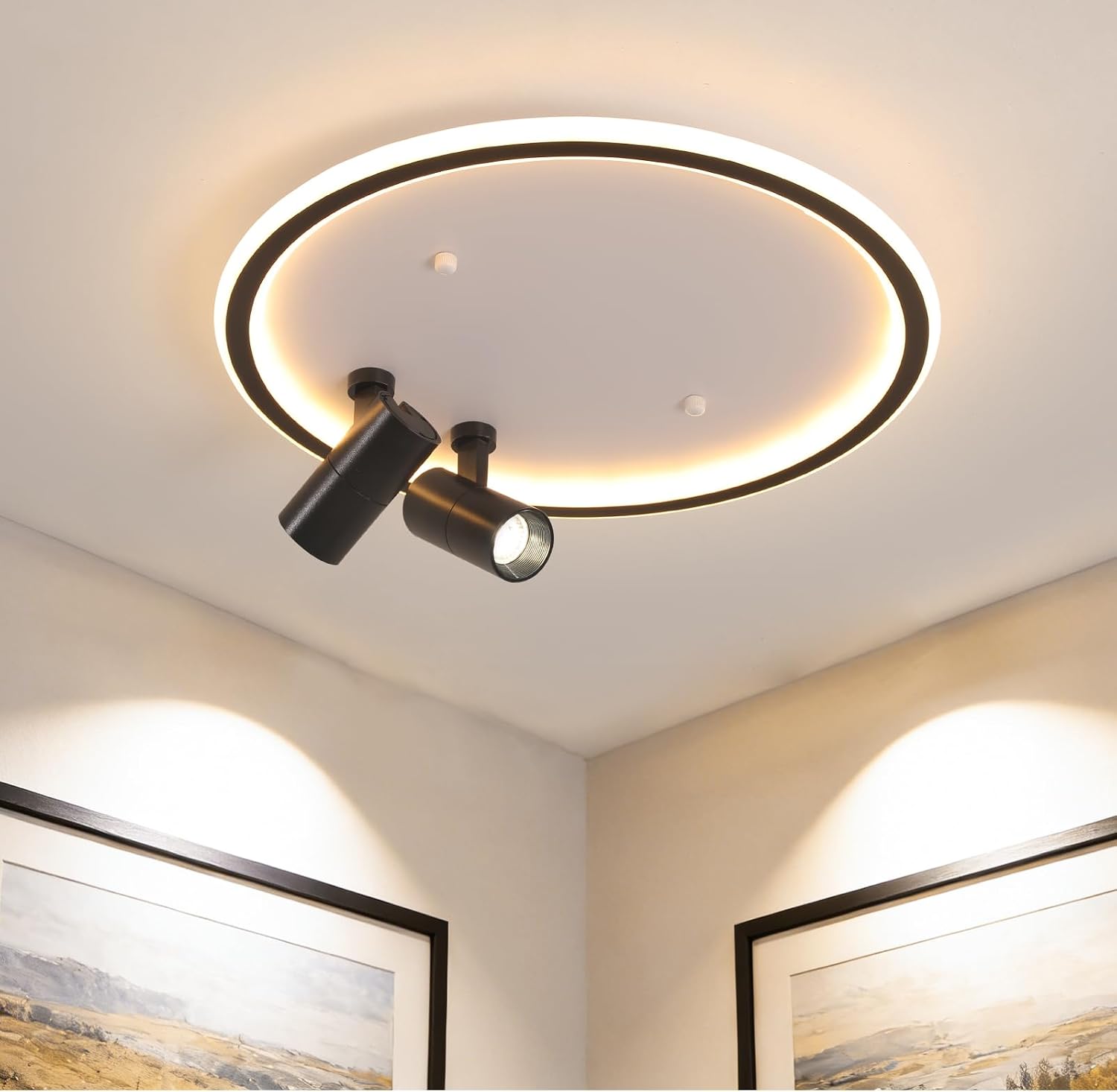 Shine LUEST Modern LED Bedroom Ceiling Light, 2 Adjustable Spotlights, Dimmable Round Close to Ceiling Lamp, Black White Minimalist Lighting for Living Room Bedroom Kitchen Dining Room