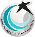PinMart's Commitment To Excellence Recognition Service Star Lapel Pin