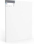 Winsor & Newton Professional Cotton Canvas, 48' x 60' Deep Edge