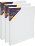 Centurion DLX Acrylic Primed Linen Stretched Canvases - 1.5' Deep Acrylic Primed Linen Canvas for Artists, Acrylics, Painting, Professionals, & More! - [3 Pack - 20x30]