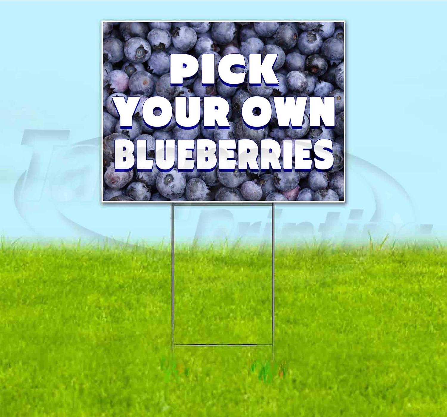 Pick Your Own Blueberries (18' X 24') Yard Sign, Quantity Discounts, Multi-Packs, Includes Metal Step Stake, Bandit Sign