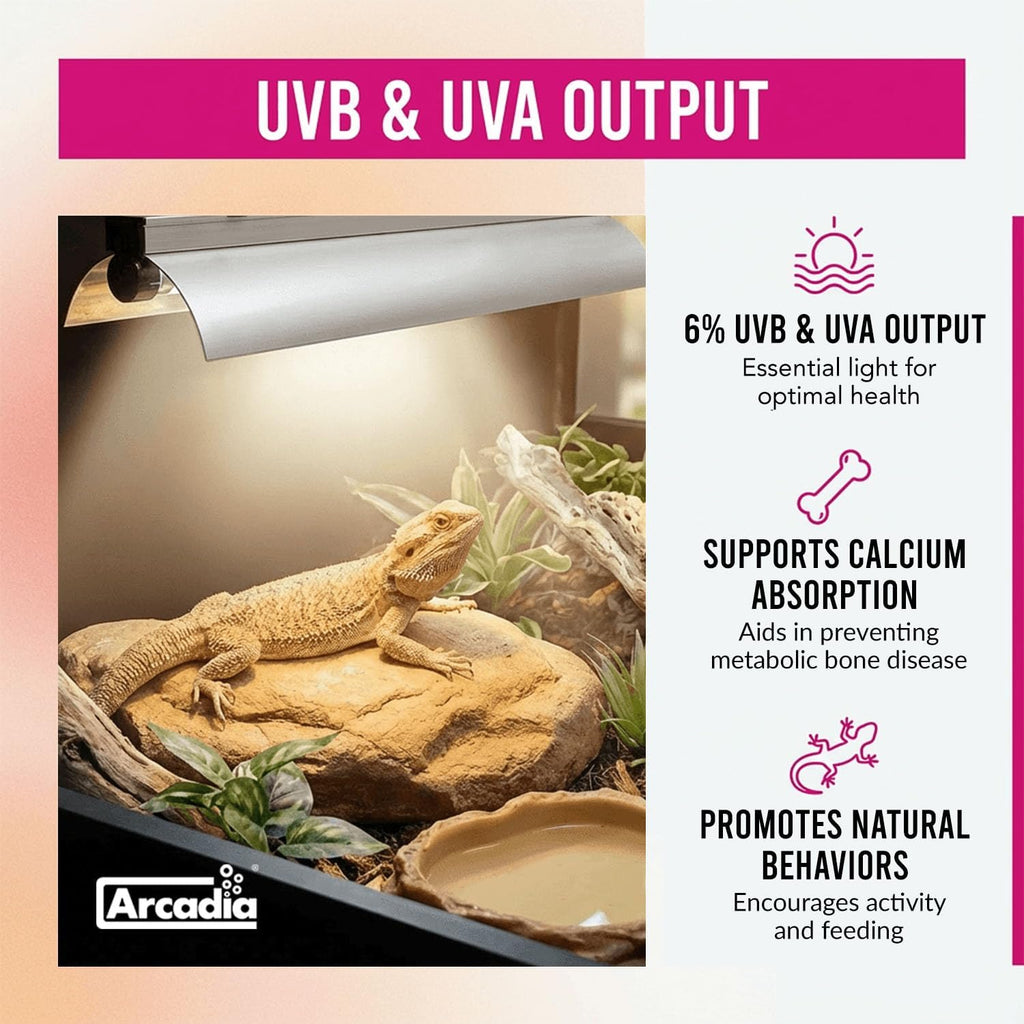 Arcadia T5 UVB Reptile Light Fixture Kit 36' Long 39 Watts 6% UVB Forest – Complete UVB Light for Reptiles, Turtles, Snake, Bearded Dragon Lamp, Long Lasting Easy to Use Professional Lighting