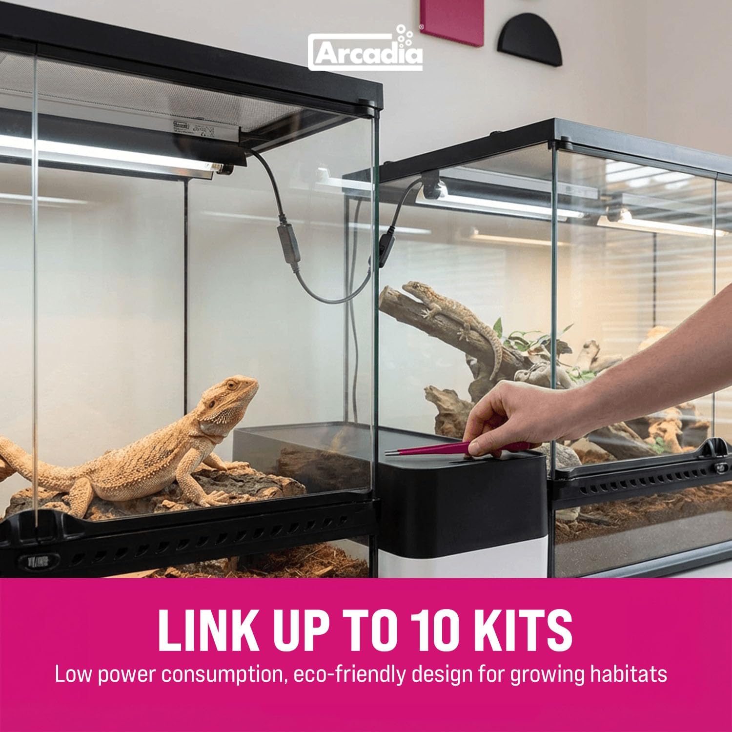 Arcadia T5 UVB Reptile Light Fixture Kit 36' Long 39 Watts 14% UVB Dragon – Complete UVB Light for Reptiles, Turtles, Snake, Bearded Dragon Lamp, Long Lasting Easy to Use Professional Lighting