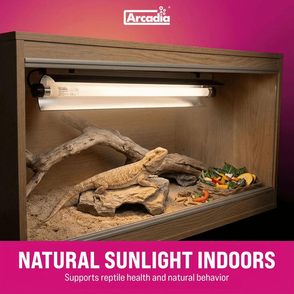 Arcadia T5 UVB Reptile Light Fixture Kit 36' Long 39 Watts 6% UVB Forest – Complete UVB Light for Reptiles, Turtles, Snake, Bearded Dragon Lamp, Long Lasting Easy to Use Professional Lighting