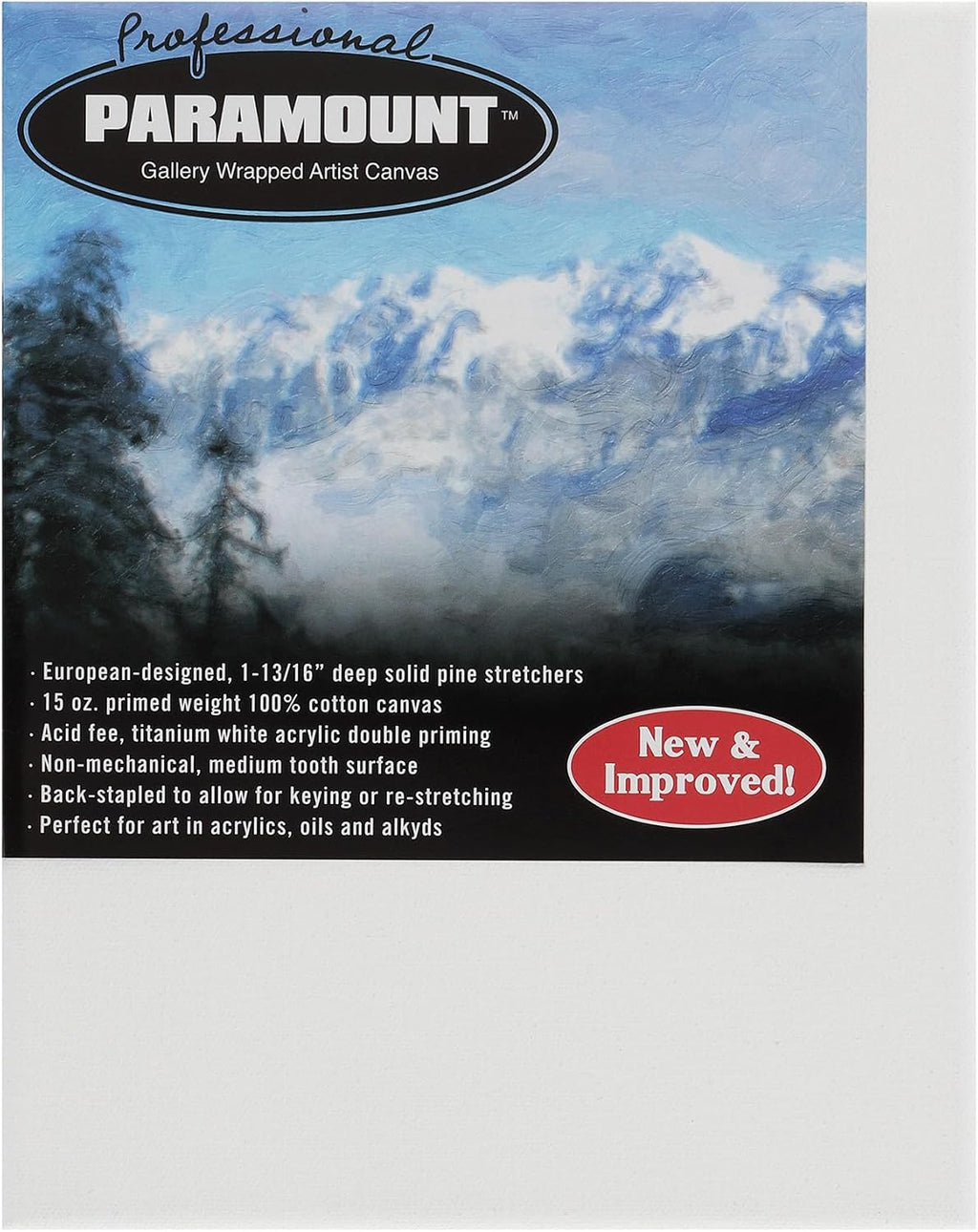 Paramount Professional Gallery Wrapped Canvases for Painting, 20x40 Pack of 3 Heavy-Duty Stretched Canvas, Unbleached 100% Cotton, 1-13/16 Deep, Acid-Free, Triple-Primed, Medium-Tooth Surface