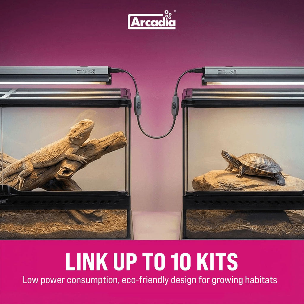 Arcadia T5 UVB Reptile Light Fixture Kit 36' Long 39 Watts 6% UVB Forest – Complete UVB Light for Reptiles, Turtles, Snake, Bearded Dragon Lamp, Long Lasting Easy to Use Professional Lighting