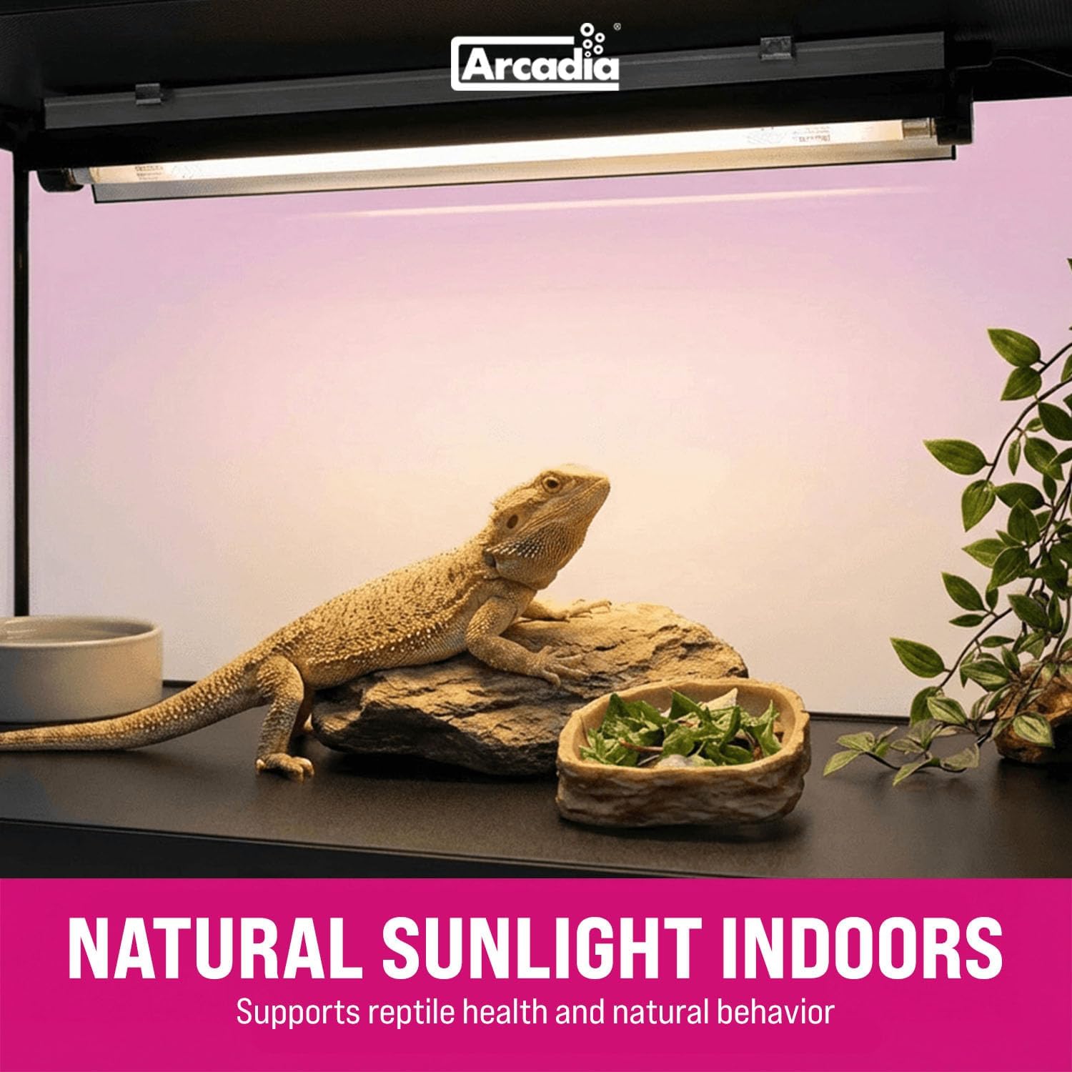 Arcadia T5 UVB Reptile Light Fixture Kit 36' Long 39 Watts 14% UVB Dragon – Complete UVB Light for Reptiles, Turtles, Snake, Bearded Dragon Lamp, Long Lasting Easy to Use Professional Lighting