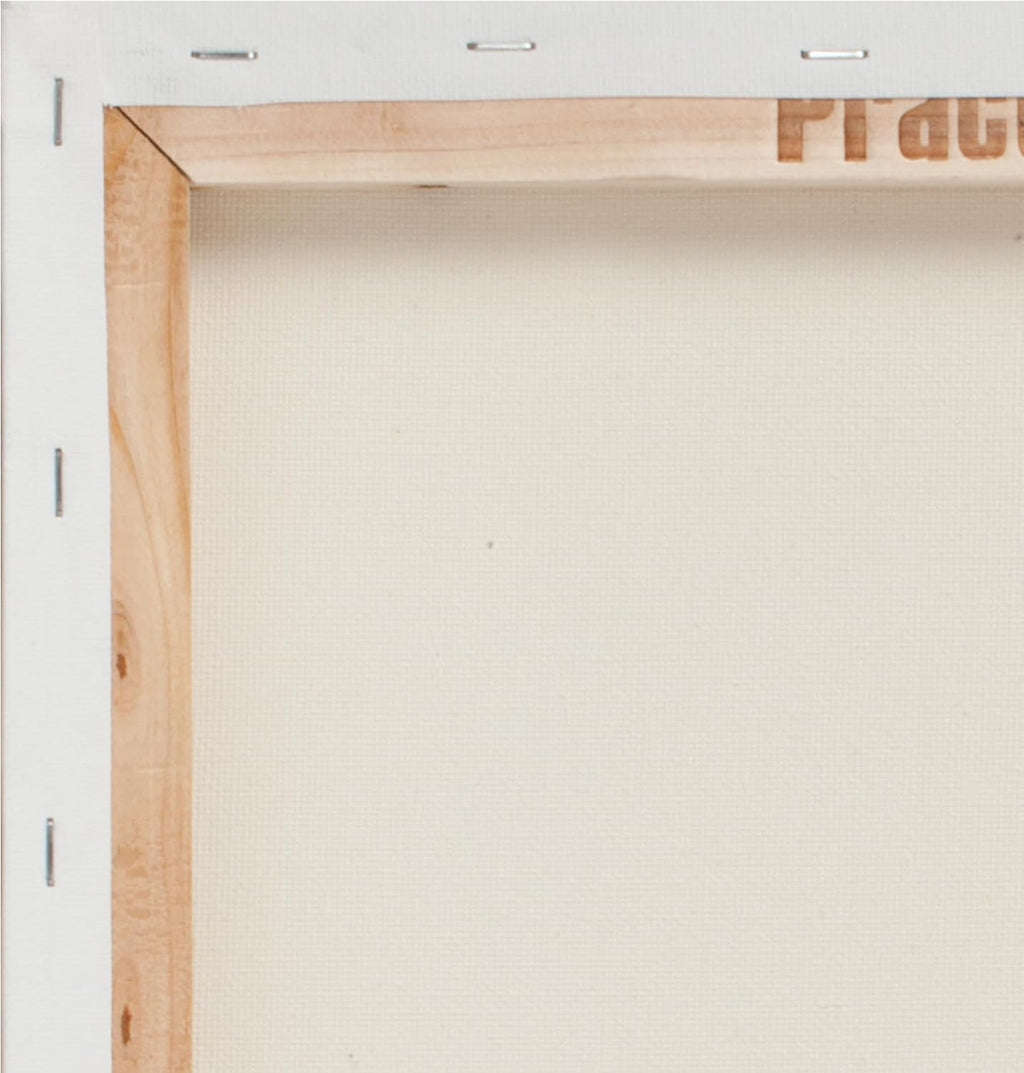 Practica Economy Stretched Cotton Canvas 20-Pack - 18x24 - Acid-Free Acrylic Primed Canvas for Acrylics, Pastels, Graphite, & More!