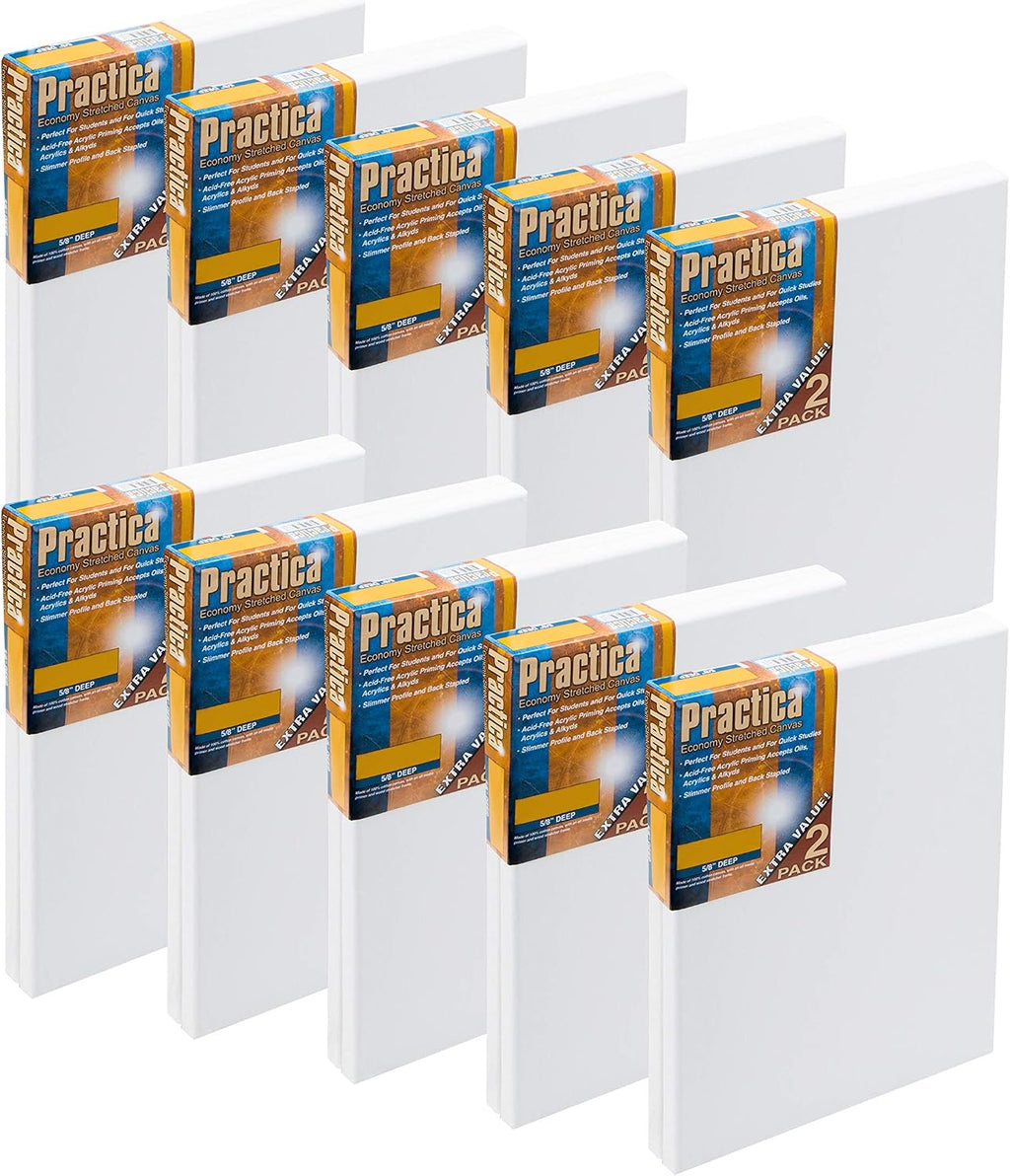 Practica Economy Stretched Cotton Canvas 20-Pack - 18x24 - Acid-Free Acrylic Primed Canvas for Acrylics, Pastels, Graphite, & More!