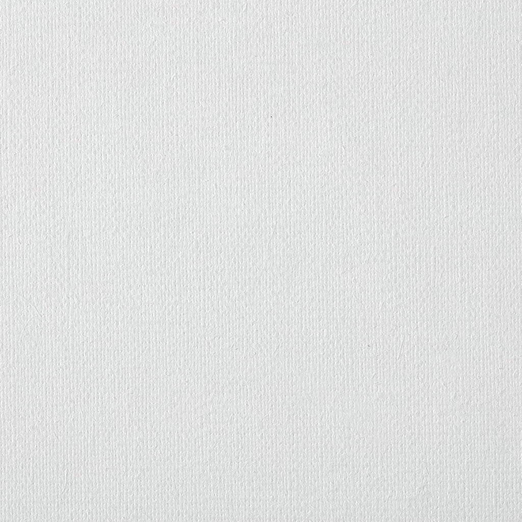 Centurion Deluxe Professional Oil Primed Linen Stretched Canvas, 11oz Linen, 22x28 - Box of 6, 0.67' Deep Canvases, Kiln-Dried Stretchers, Back Stapled, Premium Medium Weight Canvas for Oil Paintings