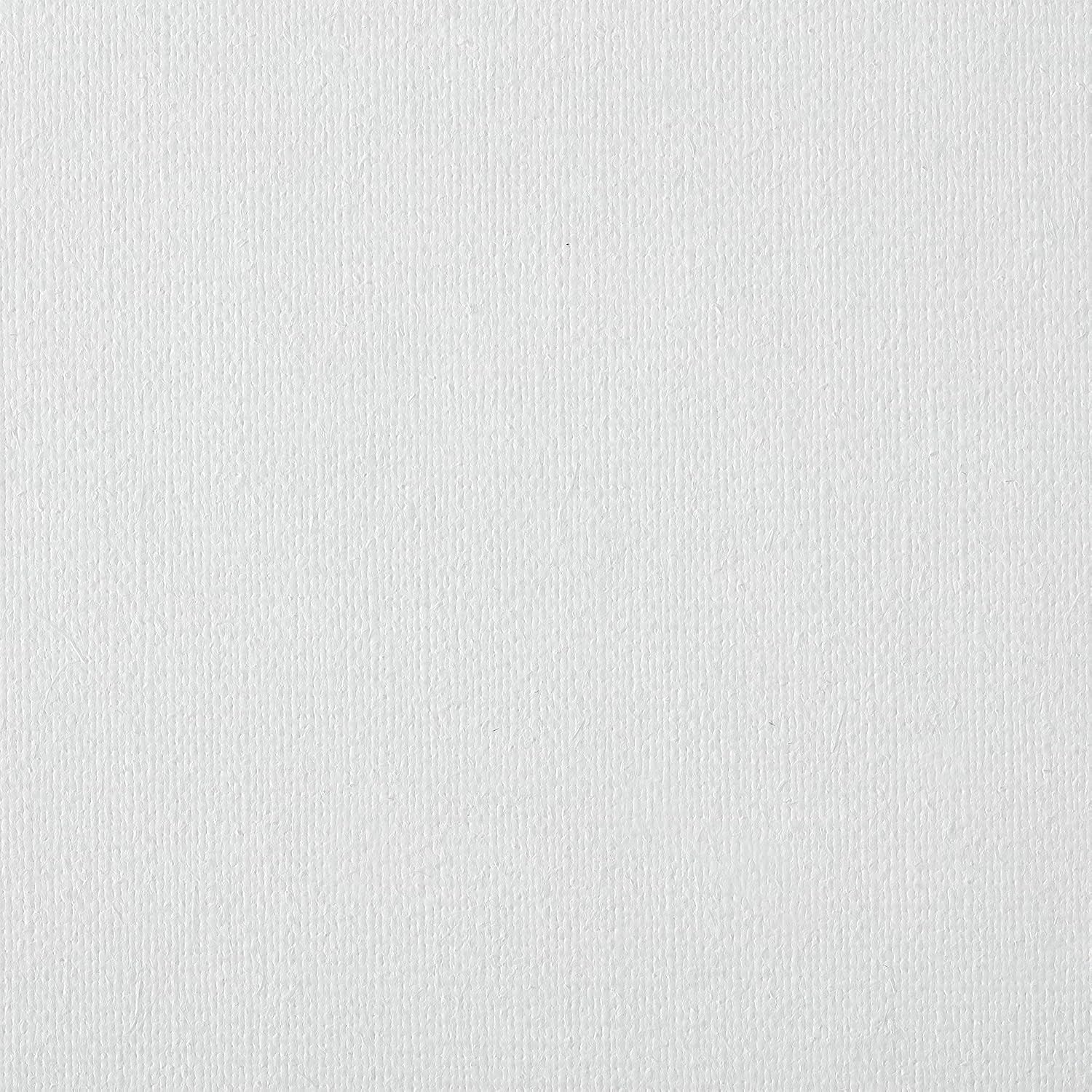 Centurion Deluxe Professional Oil Primed Linen Stretched Canvas, 11oz Linen, 14x18 - Box of 6, 0.67' Deep Canvases, Kiln-Dried Stretchers, Back Stapled, Premium Medium Weight Canvas for Oil Paintings