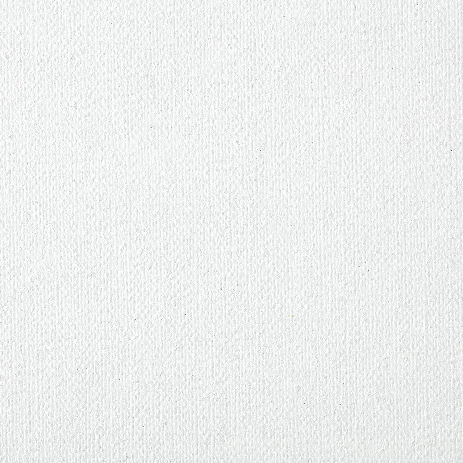 Centurion DLX Acrylic Primed Linen Stretched Canvases - 1.5' Deep Acrylic Primed Linen Canvas for Artists, Acrylics, Painting, Professionals, & More! - [3 Pack - 20x24]