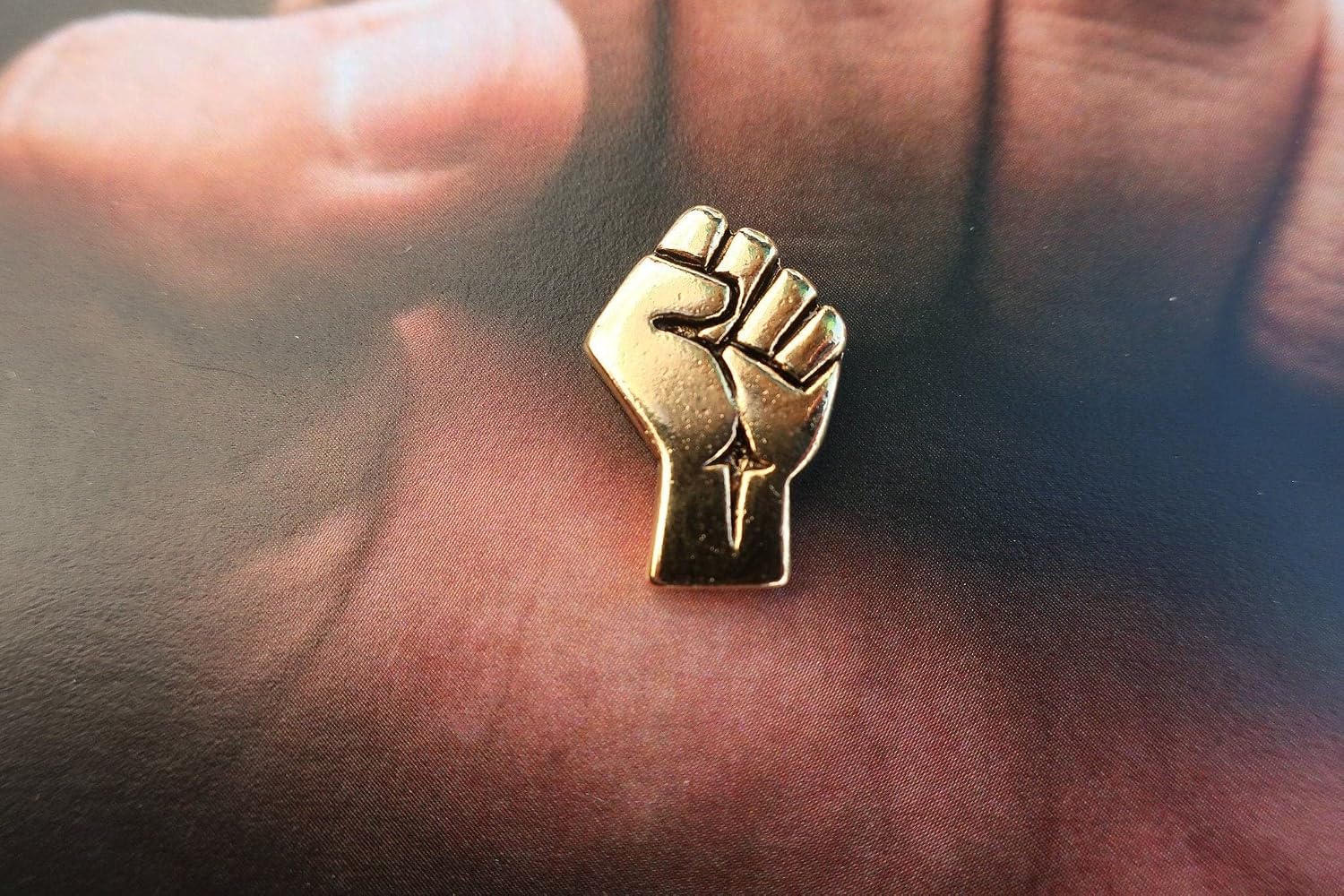 Jim Clift Design Civil Rights Gold Lapel Pin