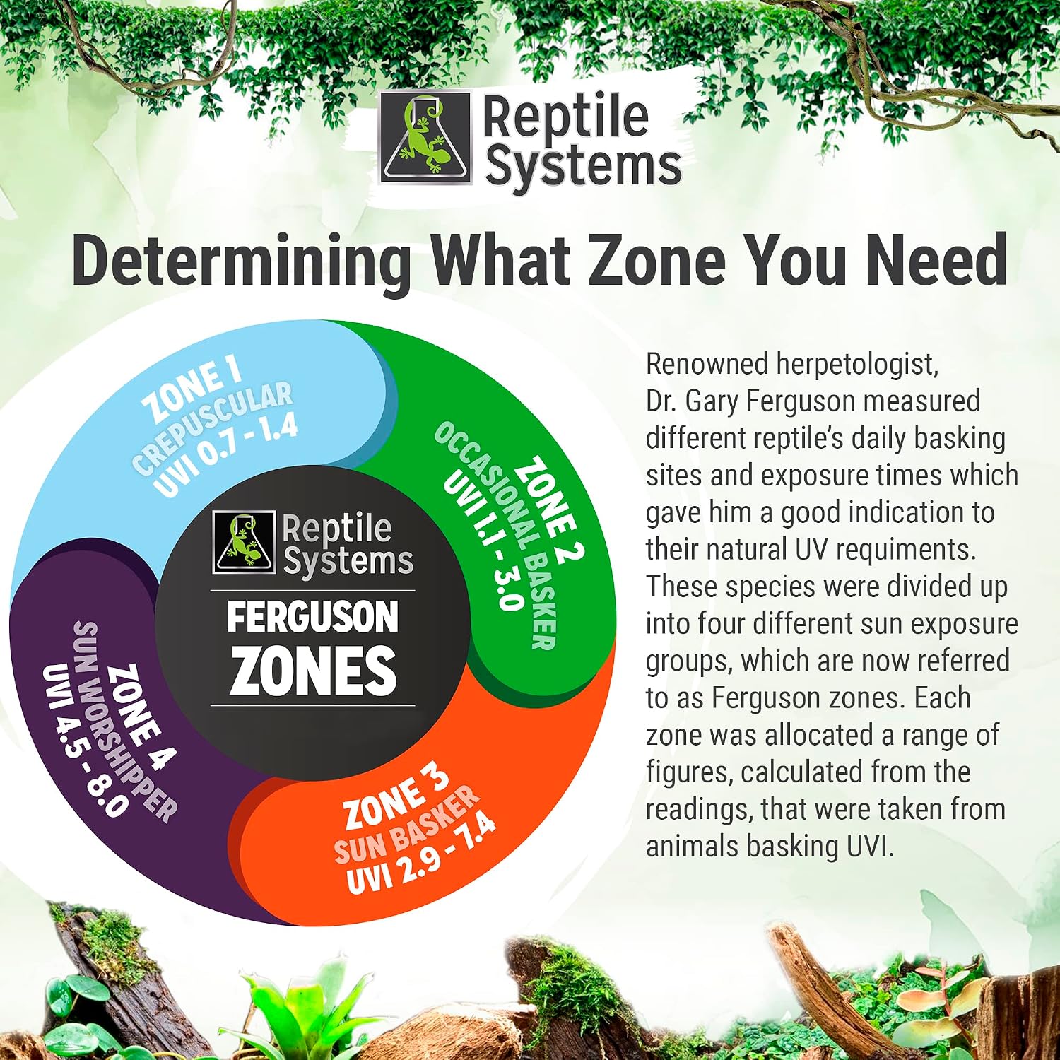 Reptile Systems Eco T5 Unit Zone 2 Reptile Lighting Kit – 36in-39w - Slimline Fixture with HOT5 Lamp, Reflector & Flicker-Free Ballast – Ideal for Terrariums, Chameleons & Geckos