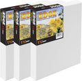Creative Mark The Edge Deluxe Cotton 1-1/2' Deep Stretched Canvas for Painting, 20x30 Pack of 3, 14oz. Primed Weight, Universal Archival Priming, Medium Tooth, Hand-Stretched Canvas for Painters
