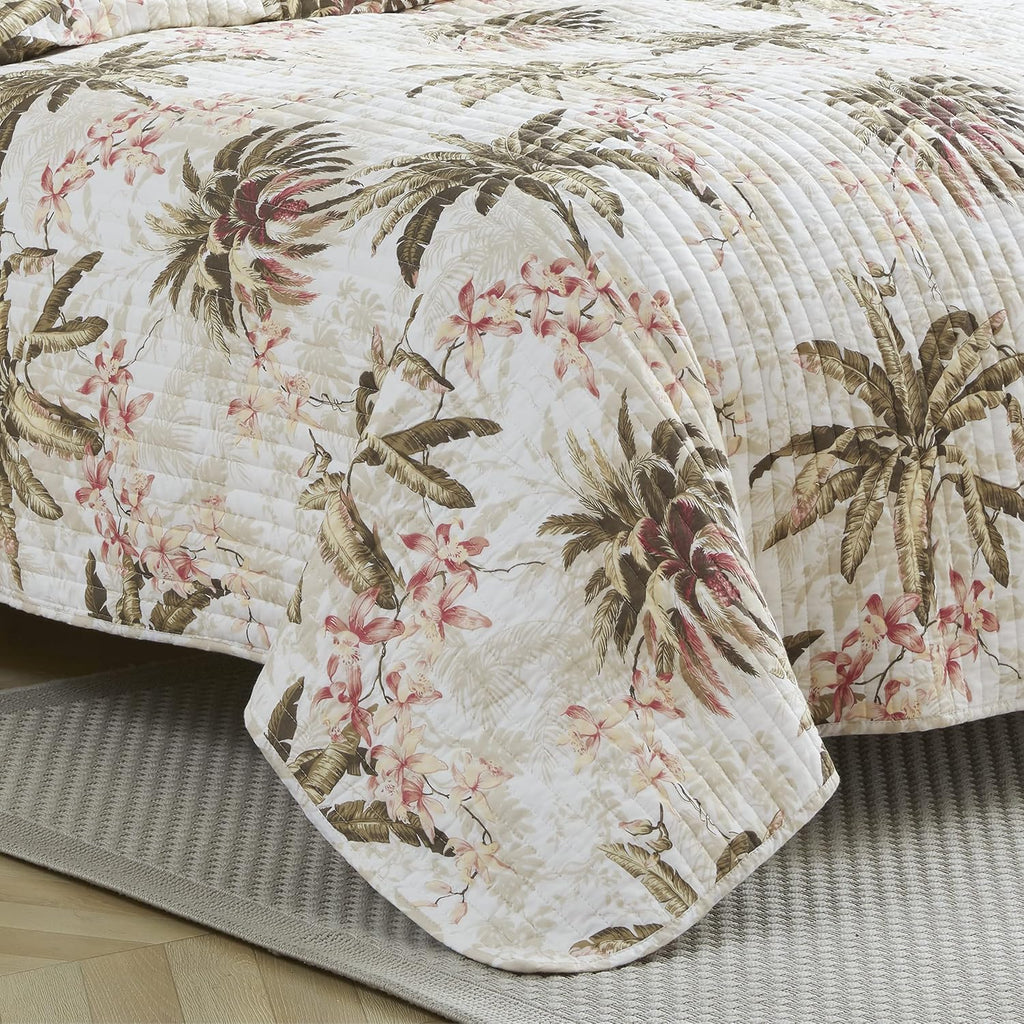 Tommy Bahama - Twin Quilt Set, Reversible Cotton Bedding with Matching Sham, Pre-Washed for Added Softness, Dorm Essentials (Bonny Cove Ivory)