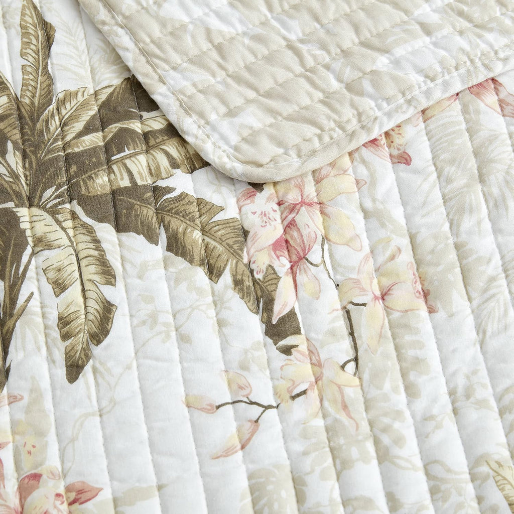 Tommy Bahama - Twin Quilt Set, Reversible Cotton Bedding with Matching Sham, Pre-Washed for Added Softness, Dorm Essentials (Bonny Cove Ivory)